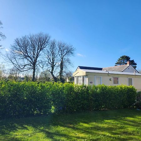 Rosebud Flower Farm Caravan Stay Countryside And Coast Penzance Exterior photo